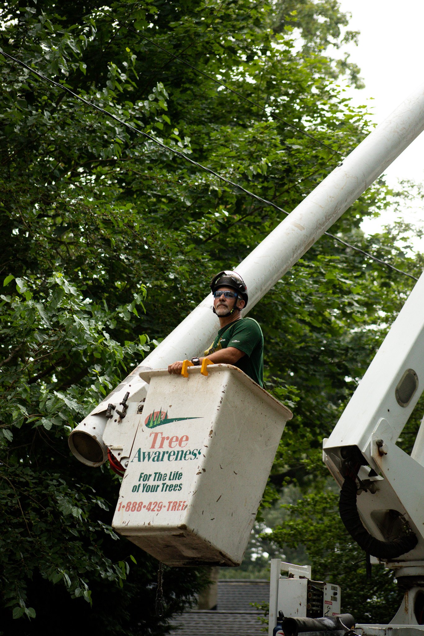 Paul Biester walking a property — Tree Awareness, Inc.