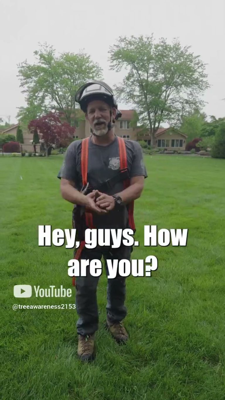 Trimming a Property for a Wedding